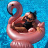 Flamingo Baby Pool Float